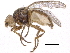  ( - CCDB-23515-H09)  @11 [ ] CreativeCommons - Attribution (2015) CBG Photography Group Centre for Biodiversity Genomics