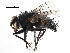  ( - CCDB-23516-D08)  @11 [ ] CreativeCommons - Attribution (2015) CBG Photography Group Centre for Biodiversity Genomics