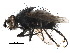  ( - CCDB-23516-E02)  @15 [ ] CreativeCommons - Attribution (2015) CBG Photography Group Centre for Biodiversity Genomics