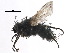  ( - CCDB-23516-E05)  @11 [ ] CreativeCommons - Attribution (2015) CBG Photography Group Centre for Biodiversity Genomics