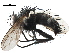  ( - CCDB-23517-E04)  @13 [ ] CreativeCommons - Attribution (2015) CBG Photography Group Centre for Biodiversity Genomics