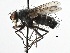  ( - CCDB-23517-E11)  @13 [ ] CreativeCommons - Attribution (2015) CBG Photography Group Centre for Biodiversity Genomics