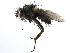 ( - CCDB-23517-F08)  @13 [ ] CreativeCommons - Attribution (2015) CBG Photography Group Centre for Biodiversity Genomics