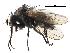  ( - CCDB-23517-H05)  @11 [ ] CreativeCommons - Attribution (2015) CBG Photography Group Centre for Biodiversity Genomics