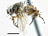  ( - CCDB-23518-D02)  @14 [ ] CreativeCommons - Attribution (2015) CBG Photography Group Centre for Biodiversity Genomics