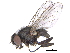  ( - CCDB-23519-A08)  @14 [ ] CreativeCommons - Attribution (2015) CBG Photography Group Centre for Biodiversity Genomics