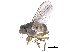  ( - CCDB-23519-E12)  @13 [ ] CreativeCommons - Attribution (2015) CBG Photography Group Centre for Biodiversity Genomics