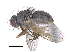  ( - CCDB-23519-F01)  @13 [ ] CreativeCommons - Attribution (2015) CBG Photography Group Centre for Biodiversity Genomics