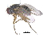  ( - CCDB-23519-F02)  @13 [ ] CreativeCommons - Attribution (2015) CBG Photography Group Centre for Biodiversity Genomics