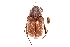  ( - CCDB-23520-E10)  @13 [ ] CreativeCommons - Attribution (2015) CBG Photography Group Centre for Biodiversity Genomics
