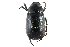  ( - CCDB-23521-B12)  @11 [ ] CreativeCommons - Attribution (2015) CBG Photography Group Centre for Biodiversity Genomics