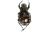  (Trichiotinus rufobrunneus - CCDB-23523-C04)  @14 [ ] CreativeCommons - Attribution (2015) CBG Photography Group Centre for Biodiversity Genomics