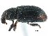  ( - CCDB-23524-E08)  @11 [ ] CreativeCommons - Attribution (2015) CBG Photography Group Centre for Biodiversity Genomics