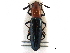  ( - CCDB-28933-C02)  @11 [ ] CreativeCommons - Attribution (2015) CBG Photography Group Centre for Biodiversity Genomics