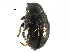  ( - CCDB-28940-B05)  @11 [ ] CreativeCommons - Attribution (2015) CBG Photography Group Centre for Biodiversity Genomics