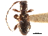  ( - CCDB-28941-B12)  @11 [ ] CreativeCommons - Attribution (2015) CBG Photography Group Centre for Biodiversity Genomics