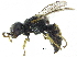  ( - CCDB-28945-D09)  @11 [ ] CreativeCommons - Attribution (2015) CBG Photography Group Centre for Biodiversity Genomics