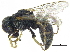  ( - CCDB-28945-D09)  @11 [ ] CreativeCommons - Attribution (2015) CBG Photography Group Centre for Biodiversity Genomics