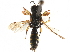  ( - CCDB-28945-E10)  @11 [ ] CreativeCommons - Attribution (2015) CBG Photography Group Centre for Biodiversity Genomics