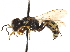  ( - CCDB-28945-E12)  @11 [ ] CreativeCommons - Attribution (2015) CBG Photography Group Centre for Biodiversity Genomics