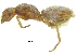  ( - CCDB-28946-A01)  @11 [ ] CreativeCommons - Attribution (2015) CBG Photography Group Centre for Biodiversity Genomics