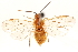  ( - CCDB-28946-D12)  @11 [ ] CreativeCommons - Attribution (2015) CBG Photography Group Centre for Biodiversity Genomics