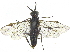  ( - CCDB-28946-E04)  @11 [ ] CreativeCommons - Attribution (2015) CBG Photography Group Centre for Biodiversity Genomics
