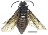  ( - CCDB-28946-F10)  @11 [ ] CreativeCommons - Attribution (2015) CBG Photography Group Centre for Biodiversity Genomics