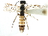  ( - CCDB-28947-A10)  @11 [ ] CreativeCommons - Attribution (2015) CBG Photography Group Centre for Biodiversity Genomics