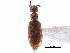  ( - CCDB-28976-G01)  @11 [ ] CreativeCommons - Attribution (2015) CBG Photography Group Centre for Biodiversity Genomics