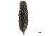 ( - CCDB-33854-B04)  @11 [ ] CreativeCommons - Attribution (2019) CBG Photography Group Centre for Biodiversity Genomics