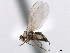  ( - CCDB-33855-D03)  @11 [ ] CreativeCommons - Attribution (2019) CBG Photography Group Centre for Biodiversity Genomics
