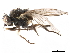  ( - CCDB-33855-D07)  @11 [ ] CreativeCommons - Attribution (2019) CBG Photography Group Centre for Biodiversity Genomics
