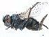  ( - CCDB-33855-G12)  @11 [ ] CreativeCommons - Attribution (2019) CBG Photography Group Centre for Biodiversity Genomics