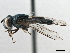  ( - CCDB-33857-E12)  @11 [ ] CreativeCommons - Attribution (2019) CBG Photography Group Centre for Biodiversity Genomics