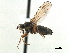  ( - CCDB-33858-A06)  @11 [ ] CreativeCommons - Attribution (2019) CBG Photography Group Centre for Biodiversity Genomics