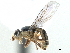  ( - CCDB-33858-A08)  @11 [ ] CreativeCommons - Attribution (2019) CBG Photography Group Centre for Biodiversity Genomics