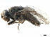  ( - CCDB-33858-B01)  @11 [ ] CreativeCommons - Attribution (2019) CBG Photography Group Centre for Biodiversity Genomics