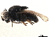  ( - CCDB-33858-C01)  @11 [ ] CreativeCommons - Attribution (2019) CBG Photography Group Centre for Biodiversity Genomics