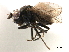  ( - CCDB-33858-H08)  @11 [ ] CreativeCommons - Attribution (2019) CBG Photography Group Centre for Biodiversity Genomics