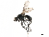  ( - CCDB-33859-B11)  @11 [ ] CreativeCommons - Attribution (2019) CBG Photography Group Centre for Biodiversity Genomics