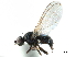  ( - CCDB-33859-B12)  @11 [ ] CreativeCommons - Attribution (2019) CBG Photography Group Centre for Biodiversity Genomics
