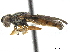  ( - CCDB-33863-D08)  @11 [ ] CreativeCommons - Attribution (2019) CBG Photography Group Centre for Biodiversity Genomics