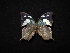  ( - MAL-02941)  @13 [ ] Unspecified (default): All Rights Reserved  Unspecified Unspecified