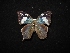  ( - MAL-02942)  @13 [ ] Unspecified (default): All Rights Reserved  Unspecified Unspecified