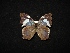  ( - MAL-02943)  @13 [ ] Unspecified (default): All Rights Reserved  Unspecified Unspecified