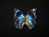  ( - MAL-02955)  @11 [ ] Unspecified (default): All Rights Reserved  Unspecified Unspecified