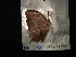  ( - MAL-02956)  @11 [ ] Unspecified (default): All Rights Reserved  Unspecified Unspecified