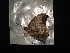  ( - MAL-02958)  @11 [ ] Unspecified (default): All Rights Reserved  Unspecified Unspecified