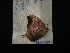  ( - MAL-02959)  @11 [ ] Unspecified (default): All Rights Reserved  Unspecified Unspecified